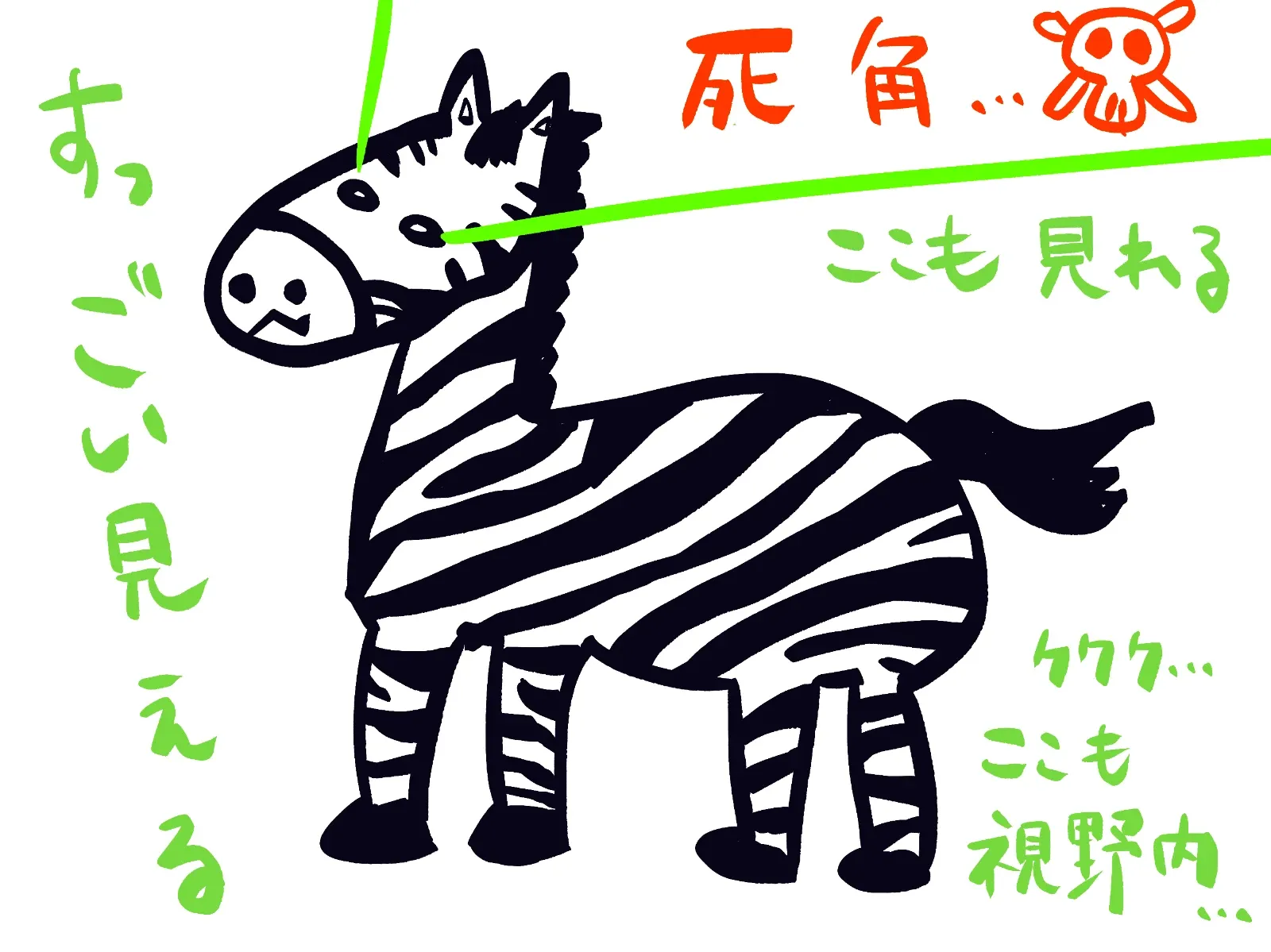 視野の広さに驚いているシマウマの落書き
